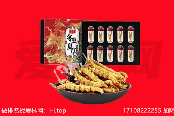 重庆酉阳县回收虫草.jpg